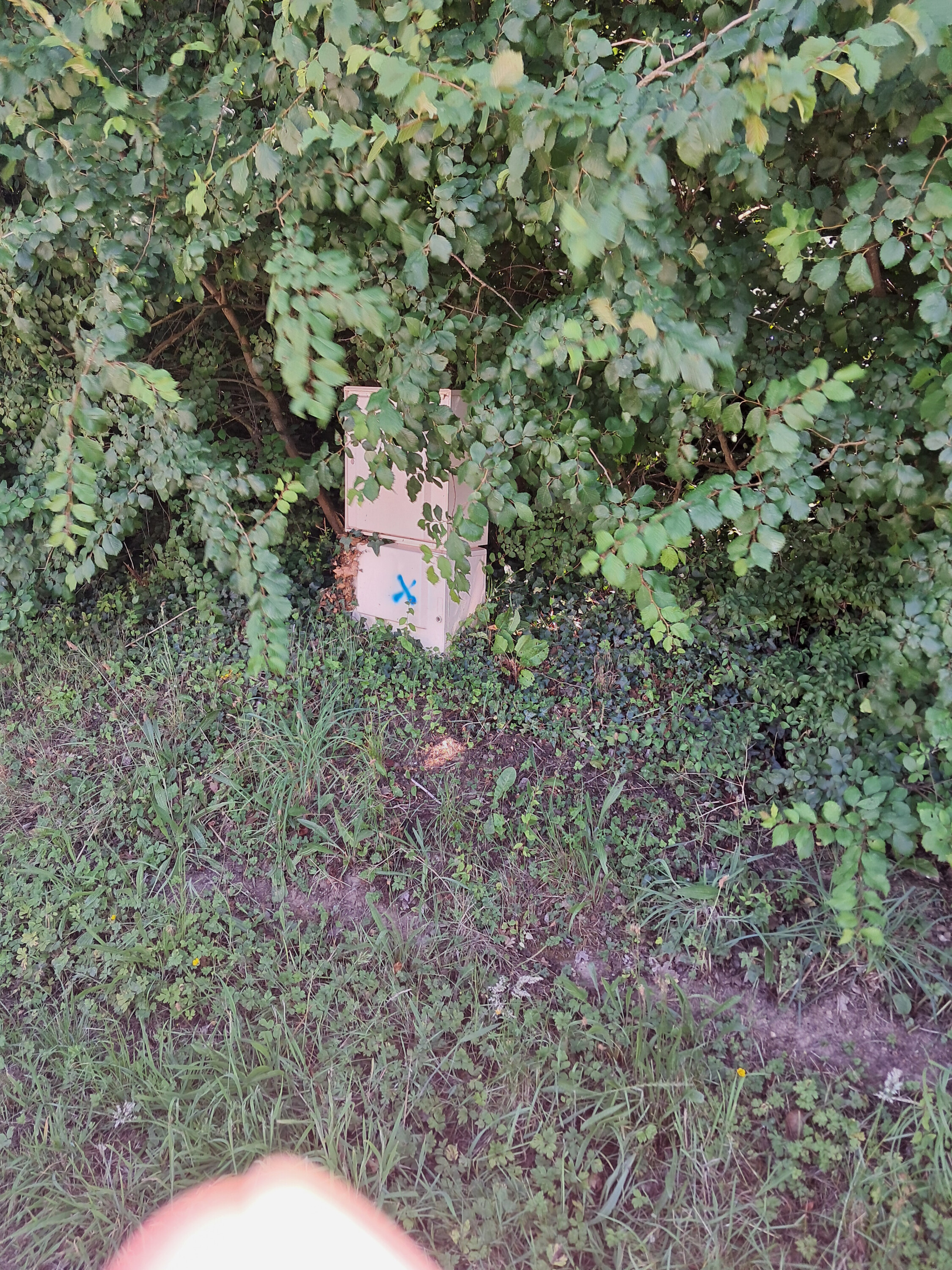 VIGILANCE