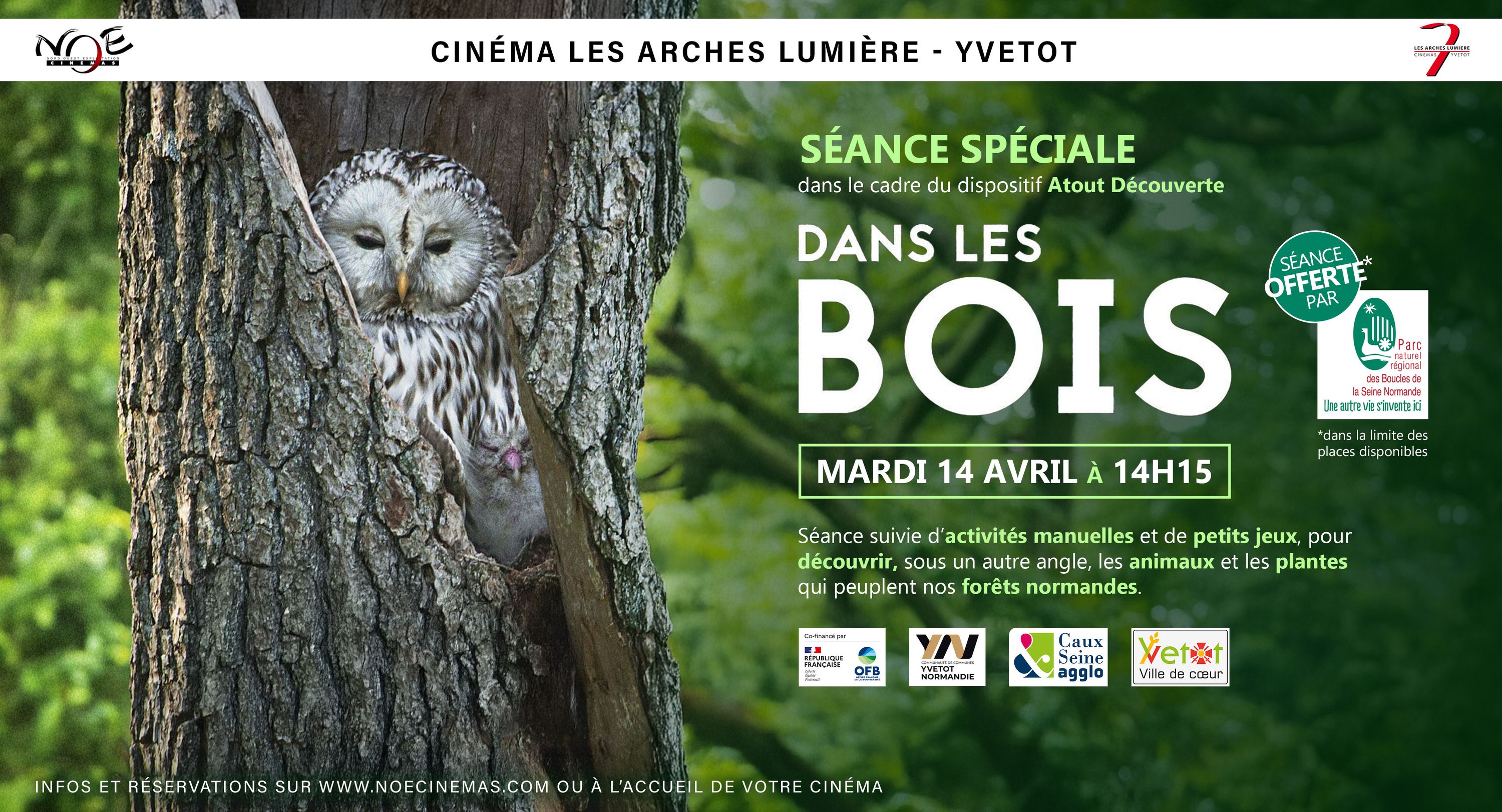 Dans les Bois