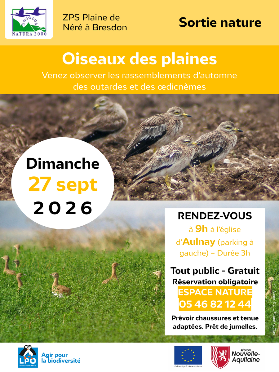 OBSERVER LES OISEAUX DE PLAINES
